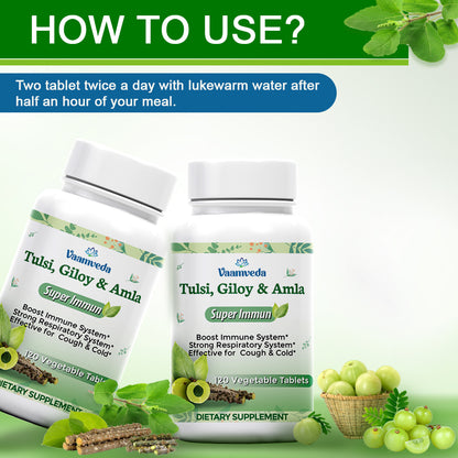 Tulsi Giloy Amla Curcumin Tablets