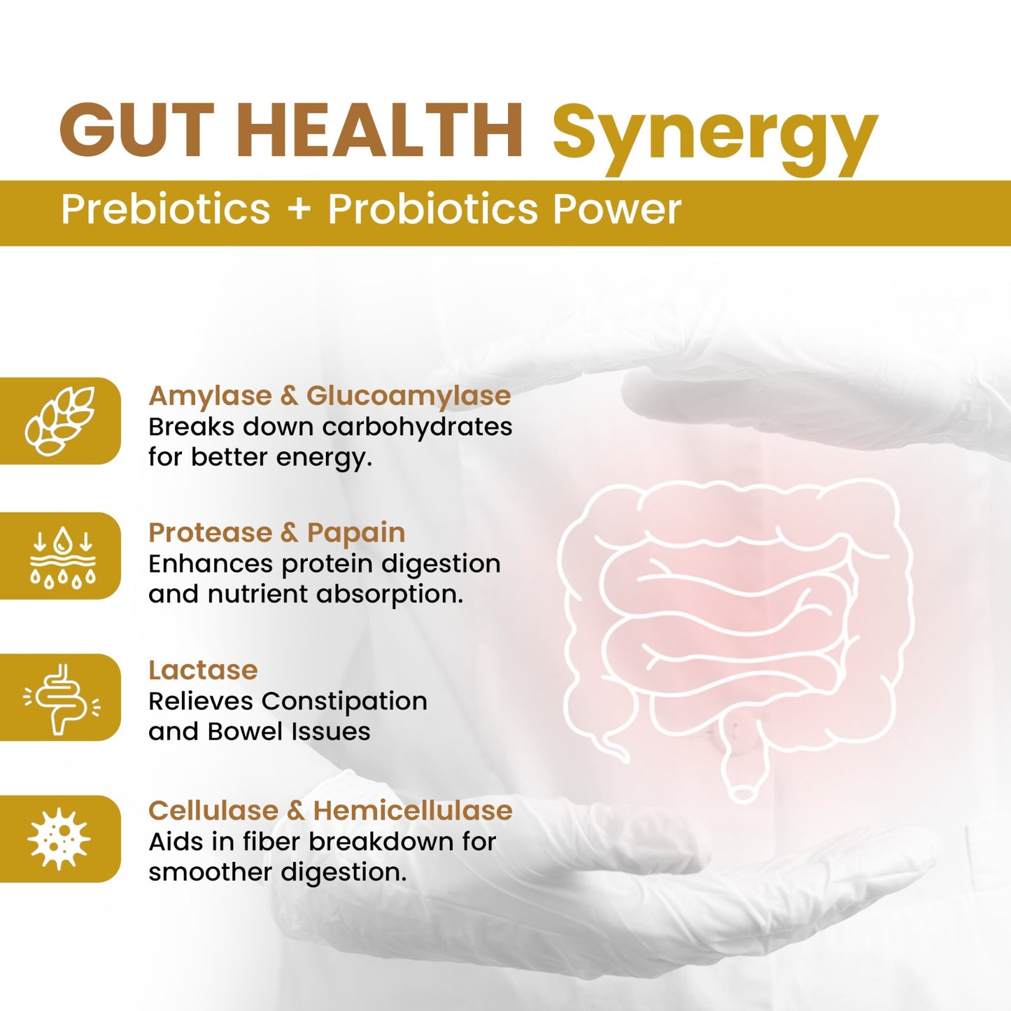 GutZymes : Digestive Enzymes