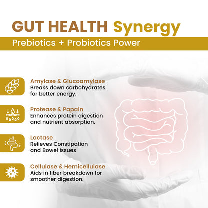 GutZymes : Digestive Enzymes