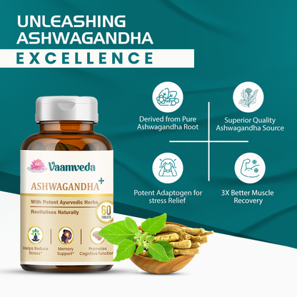 Ashwagandha 500MG with Brahmi and Giknkgo Biloba